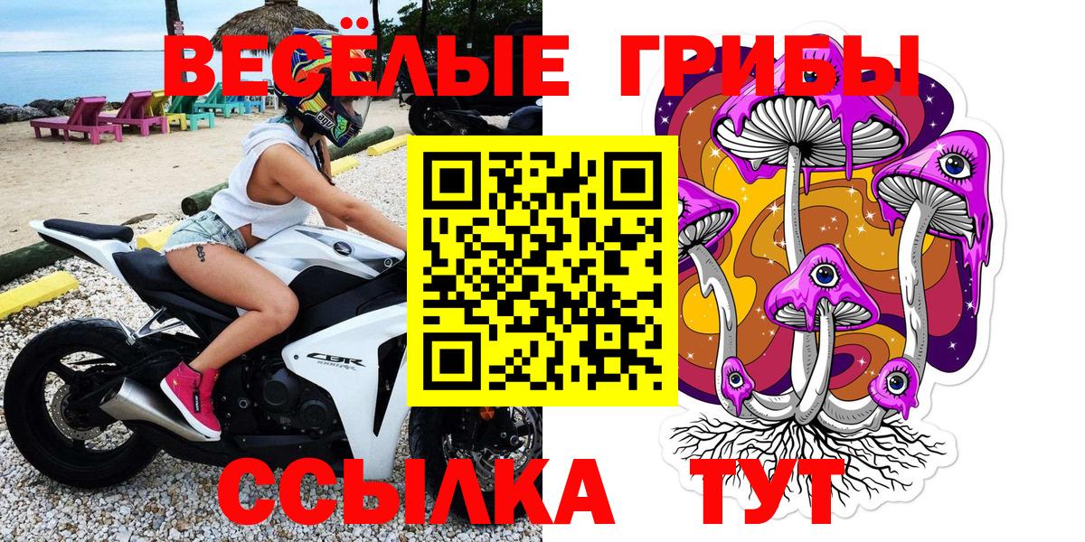 Псилоцибиновые грибы Cubensis  Вход с VPN  Псилоцибиновые грибы Cubensis  Азов 
